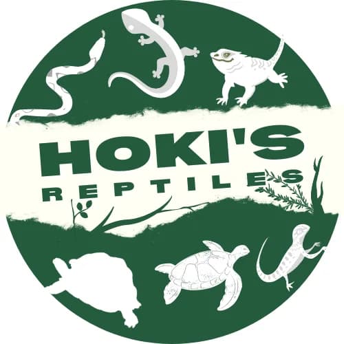 Hoki's Reptiles